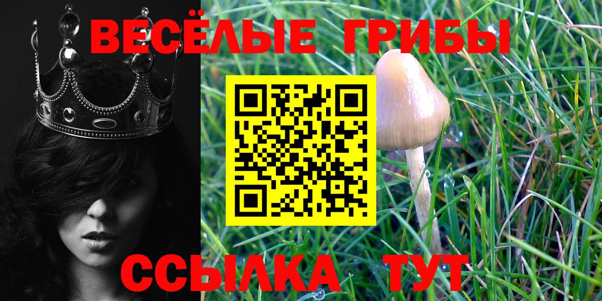 Галлюциногенные грибы GOLDEN TEACHER Раменское